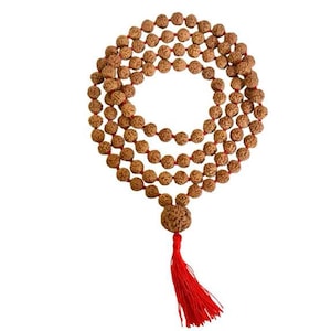 Original Lab certified 8 mm size 108+Guru bead Rudraksha mala. 5 mukhi knotted japa mala for Puja, prayer, meditation yoga & positive energy