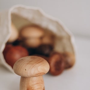 Gallery image with a fresh perspective