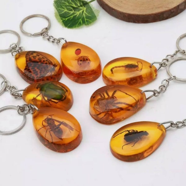 Amber Keychain Assorted Insects, Beetle, labybug, Ants, Spider, Bees, crab & Butterfly