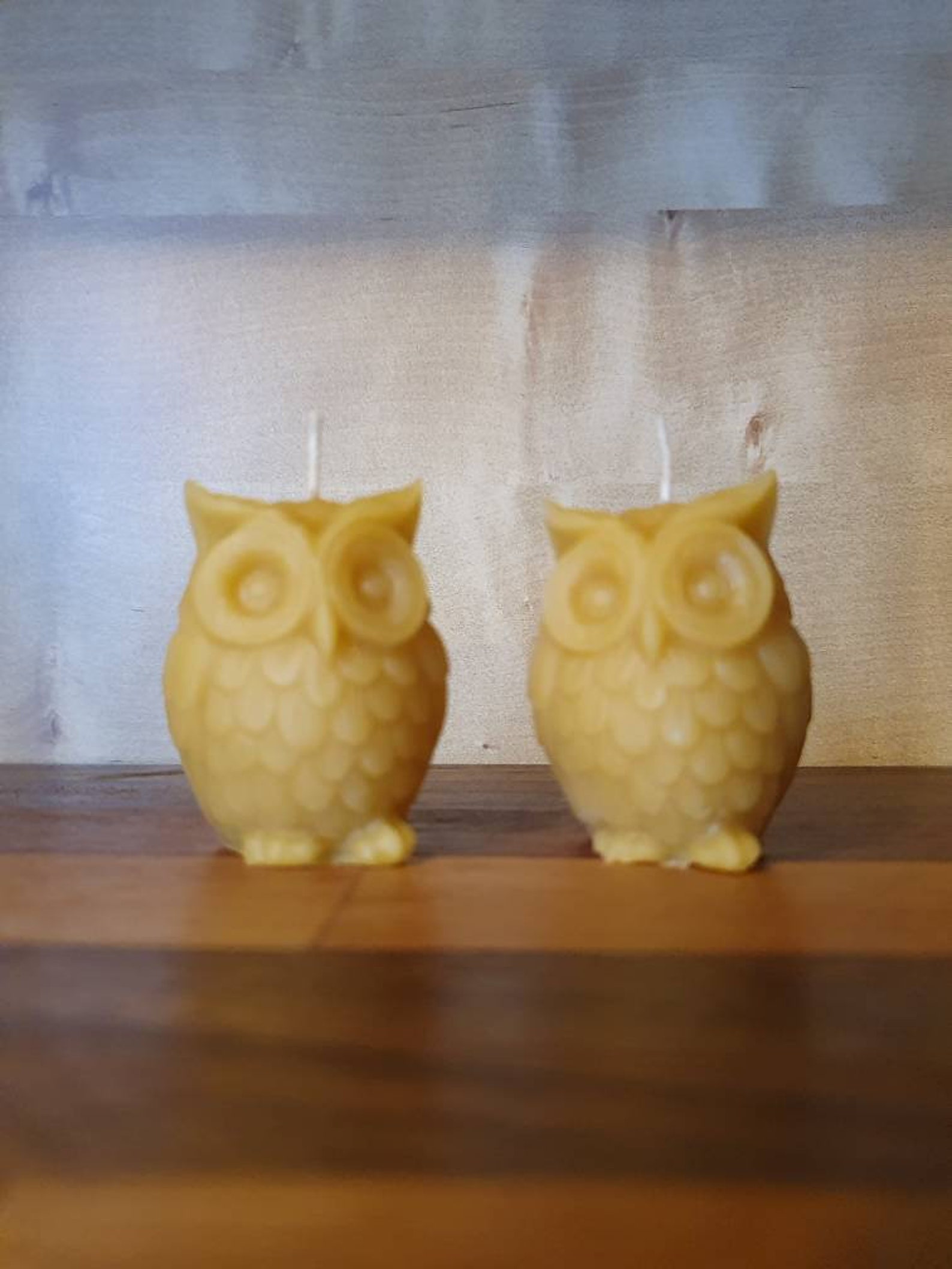 Beeswax Candle Set / Animal Candles / Welsh Beeswax Candles Etsy Italia
