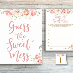 Guess the Sweet Mess Baby Shower Games Printable Baby Shower Game Dirty Diaper Floral Baby Shower Girl Candy Bar Poopy Diaper Game yv207