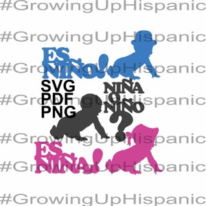 GENDER REVEAL SPANISH Svg, Pdf, Png, clipart, hispanic baby shower