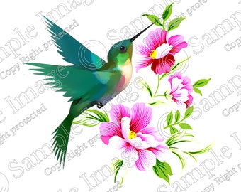Download Hummingbird Svg Etsy