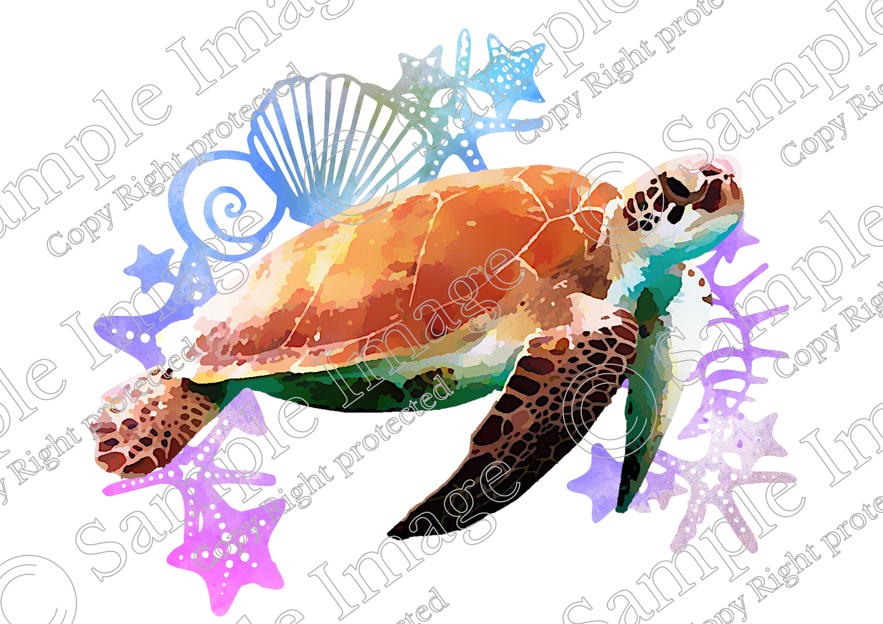 Sea Turtle Print Wall Decor Design Printable Wall Art - Etsy