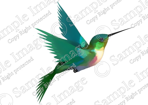 Download Watercolor Hummingbird Svg