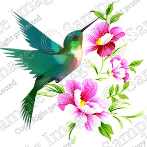 Free Free Layered Hummingbird Svg 123 SVG PNG EPS DXF File