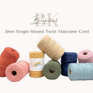 Corde en macramé 3 mm Corde en macramé monobrin en coton recyclé pour tentures murales Grand rouleau de corde en macramé pour suspension de plantes en vrac (330 mètres)