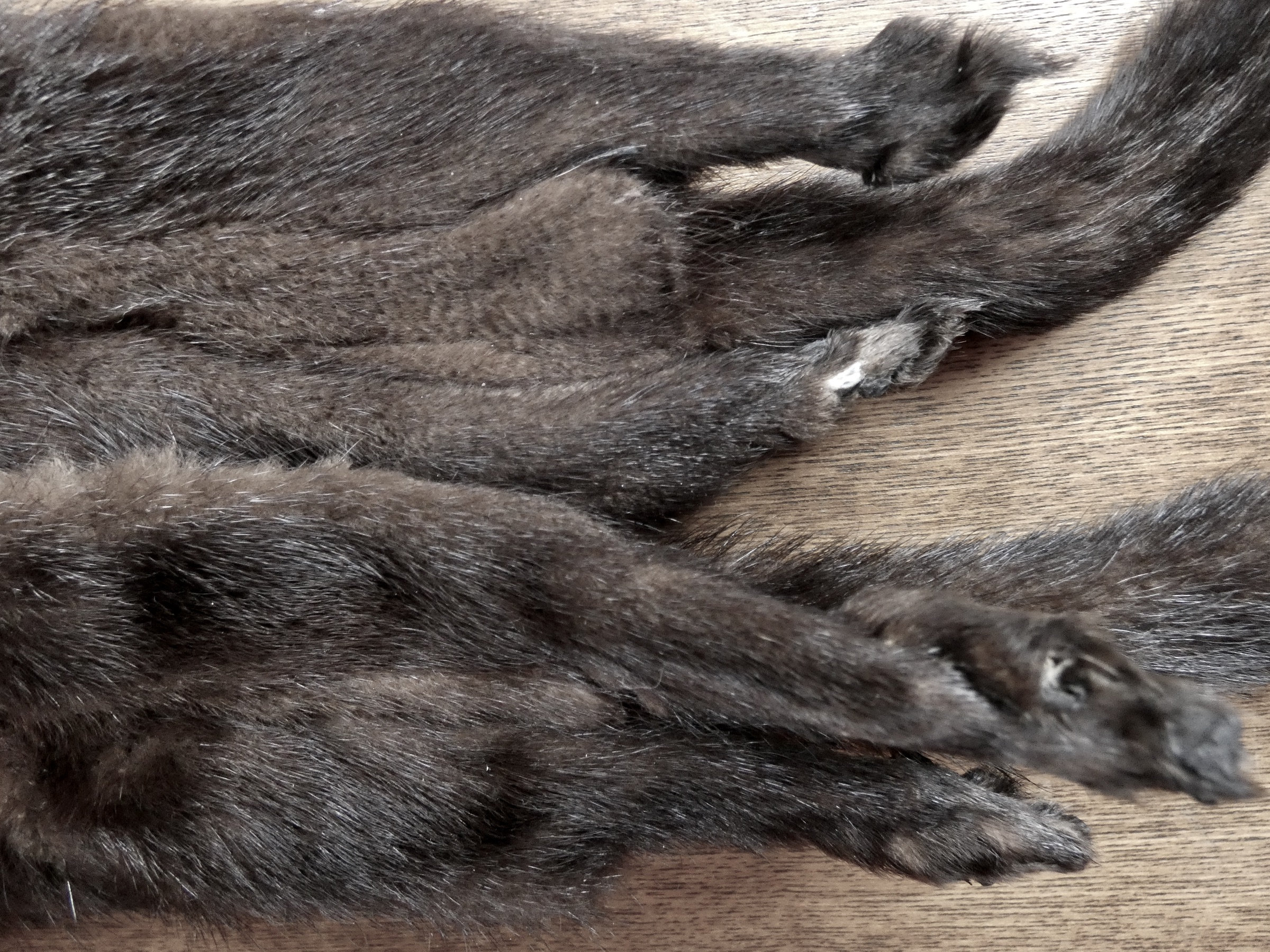 目付き黒ミンク毛皮セット 本物のミンクの光沢のある毛皮 動物の皮