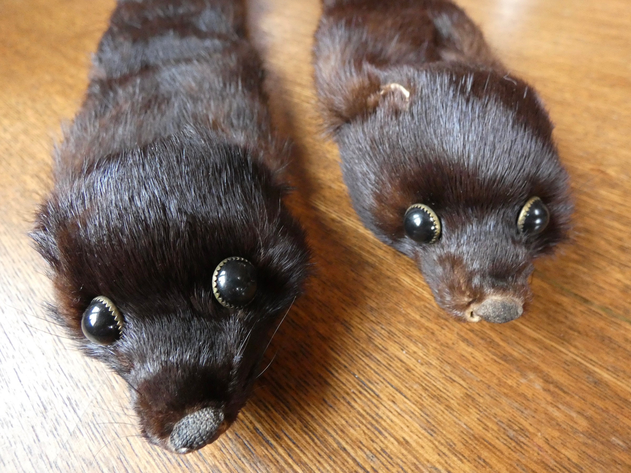 目付き黒ミンク毛皮セット 本物のミンクの光沢のある毛皮 動物の皮