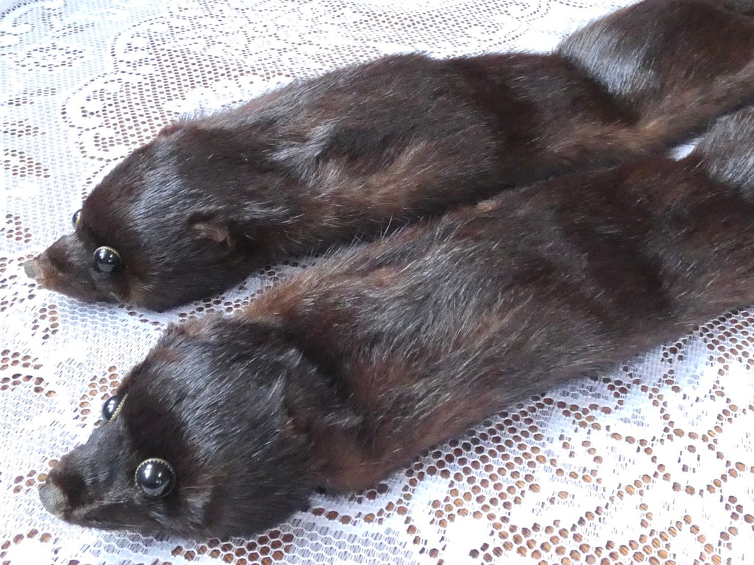 美品 ミンクと他の毛皮２点セット 目付き黒ミンク毛皮セット 本物のミンクの光沢のある毛皮 動物の皮
