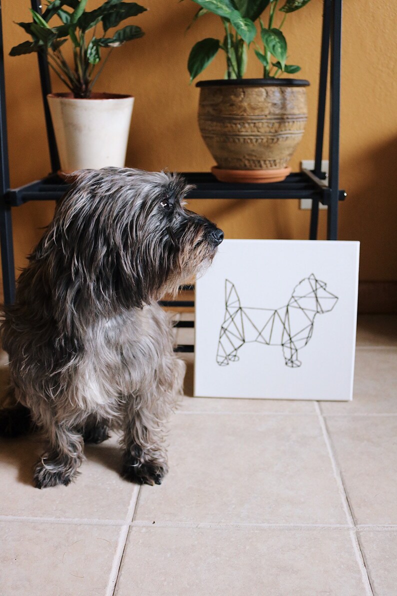 Airedale Terrier Wall Art Minimalist Pet String Art Animal Etsy