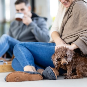 Cozy indoor scene featuring a pair of gray wool slippers. The slippers are placed on a light-colored couch. The sole of the slipper has the text "CAREFULLY CRAFTED COMFORT". A small brown dog sits nearby.