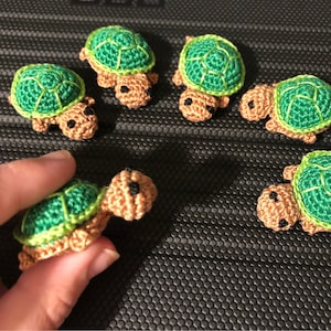 Itty bitty turtles