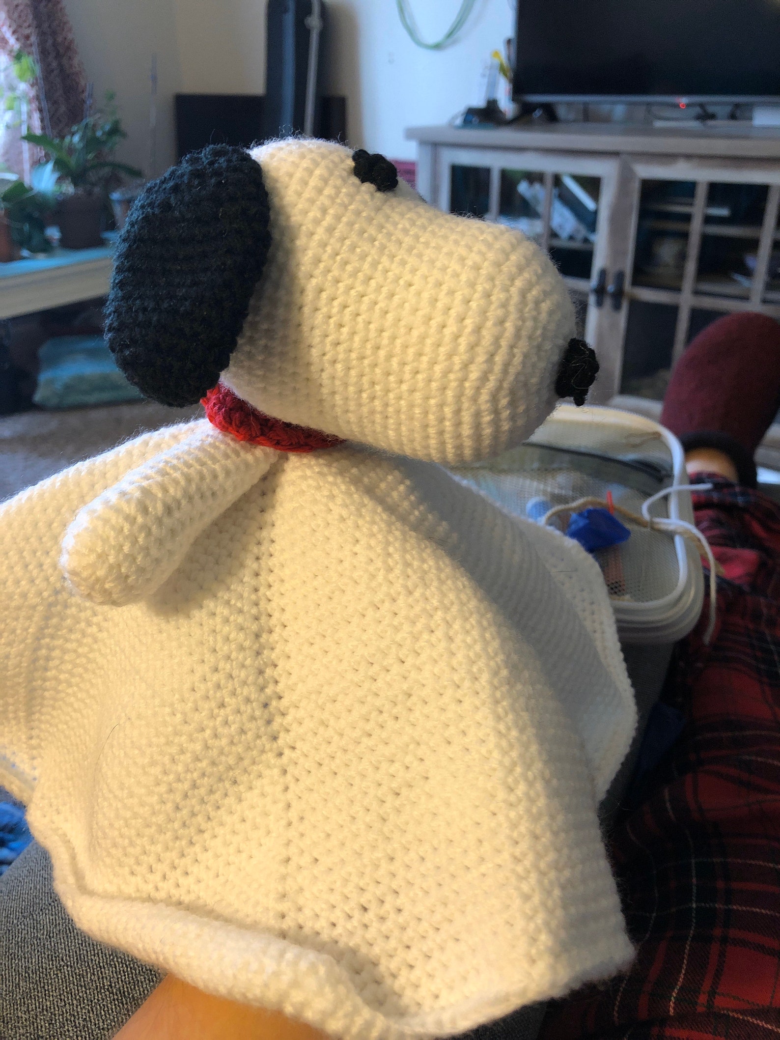 Snoopy Security Blanket Etsy