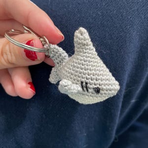 Itty bitty shark