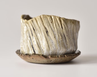 Puede incluir: Una pequeña maceta cilíndrica de cerámica con un exterior texturizado y acanalado en tonos crema y beige. La maceta se asienta sobre un platillo circular a juego, ligeramente más ancho, con un acabado marrón oscuro moteado.