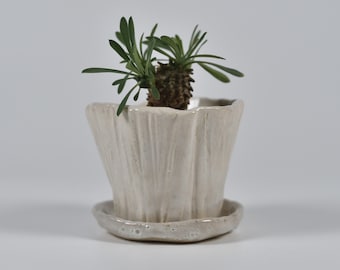Witte keramische plantenbak met schotel. Raku-aardewerk.