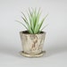 see more listings in the Ceramic planters section