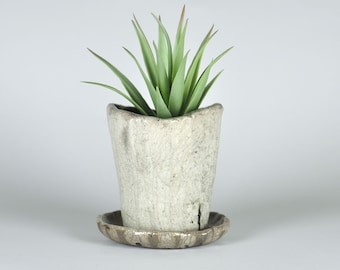 Puede incluir: Una pequeña maceta de cerámica blanquecina y desgastada con una planta suculenta verde. La maceta se asienta sobre un platillo a juego. La planta tiene hojas largas y puntiagudas de color verde con puntas rojizas. La maceta tiene un aspecto rústico y envejecido.