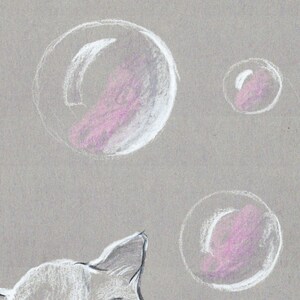 Pode incluir: Um gato branco com o nariz rosa e uma orelha branca est&aacute; olhando para cima para tr&ecirc;s bolhas brancas com centros rosados em um fundo cinza.