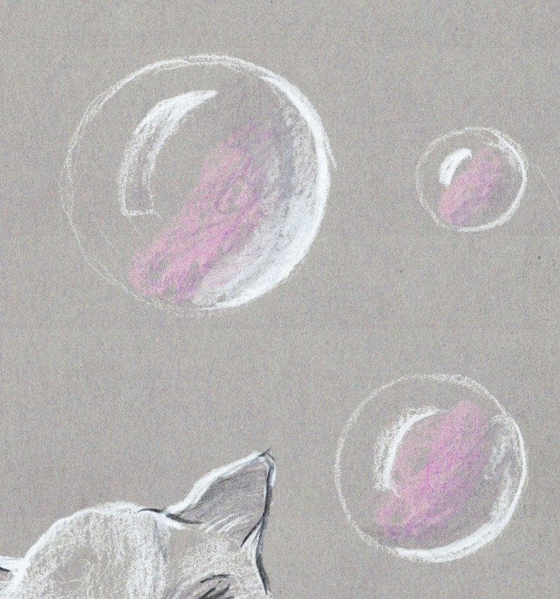 Pode incluir: Um gato branco com o nariz rosa e uma orelha branca est&aacute; olhando para cima para tr&ecirc;s bolhas brancas com centros rosados em um fundo cinza.