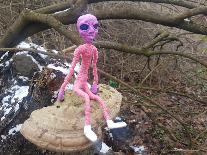 May include: A pink alien doll with a purple head and white shoes sits on a large, light brown mushroom in a snowy woodland.