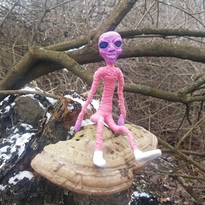 May include: A pink alien doll with purple eyes and a smile sits on a large brown mushroom in a snowy woodland setting.