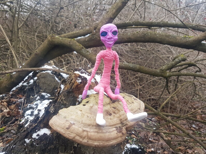 May include: A pink alien doll with purple eyes and a smile sits on a large brown mushroom in a snowy woodland setting.