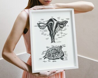 Uterus Anatomy Print | Diagram | Female Reproductive | Labor Delivery Nurse | Uterus Art OBGYN Gift for Midwife Gynecologist Gift Doula Gift