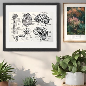 Hand-Drawn Neuro Brain Print Diagram - Anatomy Series