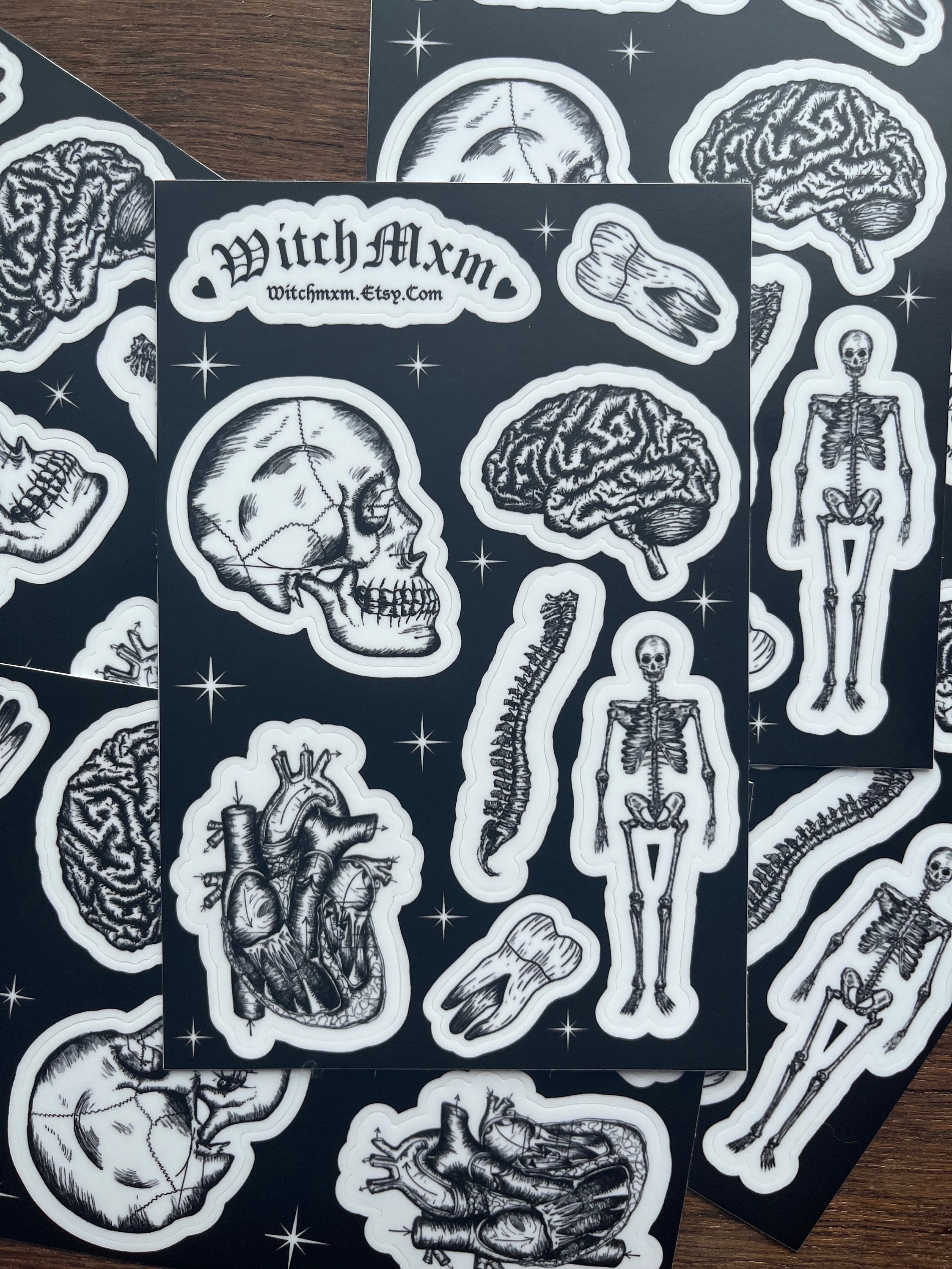 Anatomy Sticker Sheet | Anatomy Laptop Stickers | Nurse Sticker ...