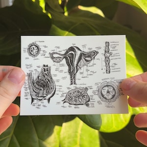 Uterus Anatomy Diagram Laptop Sticker, Nursing Student, Nurse, Feminist, Gynecology, gift, doctor, medical, biology, prochoice, science