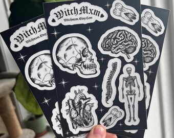 Feuille d'autocollants anatomiques | Stickers anatomie pour ordinateur portable | autocollant d'infirmière | de docteur autocollant | Pack d'autocollants étanches pour étudiants en médecine | Étudiante en soins infirmiers