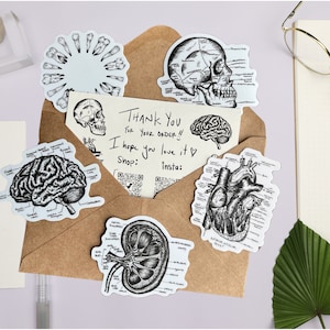 Anatomy Stickers 5-Pack | Anatomy Art Stickers | Brain Art | Anatomical Heart Sticker | Nurse Stickers | Medical Stickers | Brain Sticker