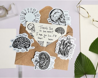 Anatomy Stickers 5-Pack | Anatomy Art Stickers | Brain Art | Anatomical Heart Sticker | Nurse Stickers | Medical Stickers | Brain Sticker