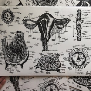 Uterus Diagram Wall Art, Anatomy illustration, Nursing student, labor and delivery nurse, doctor gift, gynecology, nurse gift female anatomy