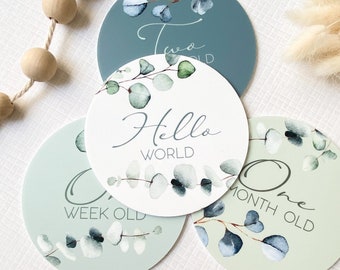 Eucalyptus Leaf Milestone Cards  | Set of 15 Acrylic Baby Milestone cards | Baby shower gift | newborn gift