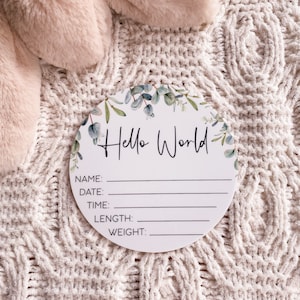 Eucalyptus Acrylic Birth Announcement Plaque | Birth Details Plaque | Newborn announcement photo prop |  Baby arrival sign