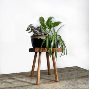 May include: A small, wooden plant stand with three legs supports two potted plants. One pot is black with a green rim, and the other is a simple black pot. The plants have green leaves and are set against a white background.