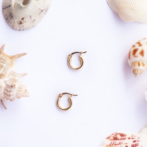 Gold Hoop Earrings, Gold Vermeil