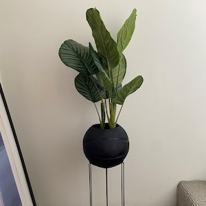 May include: A black planter shaped like a basketball with a green leafy plant inside. The planter is on a black metal stand.