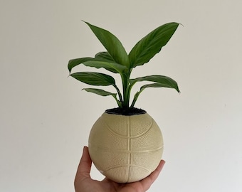Basketball Planter Small (FREE SHIPPING AUSTRALIA) Gift Ideas Homemade Home Decor