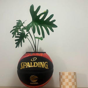 May include: A basketball converted into a planter, with a green plant with large, lobed leaves. The Spalding logo is in gold on the black section of the ball. A small, checkered vase is placed next to it.
