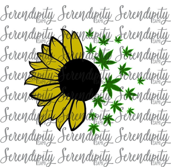 Download Cannabis Sunflower Png File Cannabis Png File Weed Png Etsy