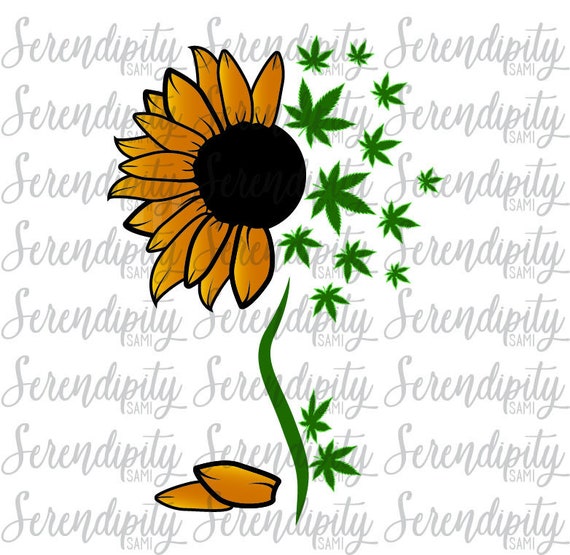 Cannabis Sunflower Png File Cannabis Png File Weed Png Etsy