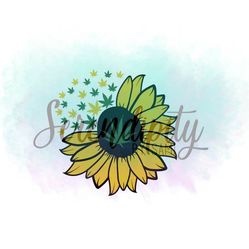 Download Sunflower and Cannabis Leaves SVG and PNG / Sunflower png ...