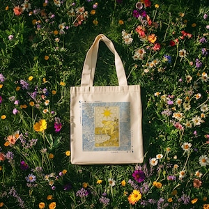 Bolsa de tela The Star Tarot (Sanación y Renovación), regalo para amantes del tarot, estética Witchcore suave, bolsa de lona femenina celestial, Rider Waite Smith