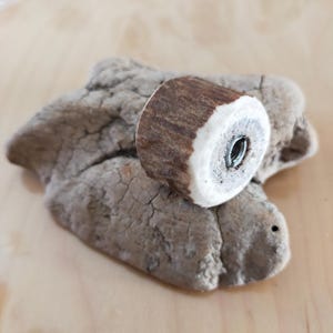 May include: A cylindrical cabinet knob crafted from a piece of brown and white deer antler. The knob features a textured, natural brown bark exterior and a smooth, cream-coloured cross-section face with a centred, threaded metal insert.