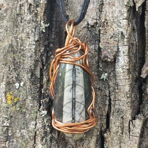 Copper Wire Wrapped Orthoceras Fossil Pendant