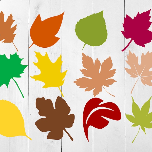 Fall Leaf SVG Bundle, Fall Leaves SVG, Autumn Leaves SVG, Fall Leaf Cut Files, leaf clipart,  leaf svg, maple leaf svg, oak leaf, leaves svg
